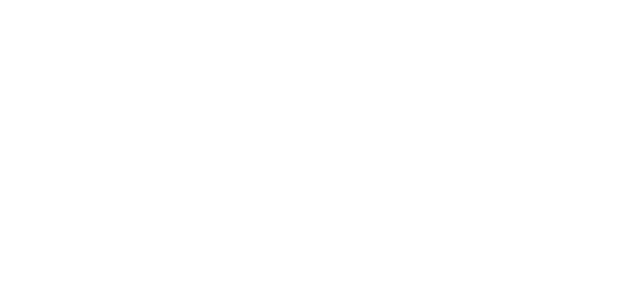 The CRM Strategy Co